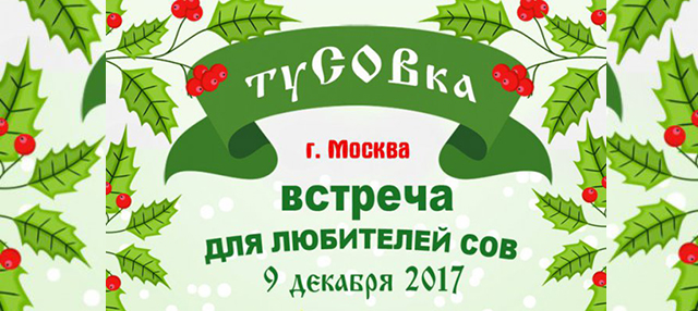 Благотворительный совиный фестиваль "ТуСОВка 2017"