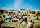 Фестиваль йоги "Дивные травы 2018": билеты, участники, программа