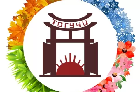 Фестиваль Тогучи