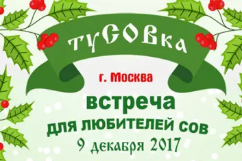 Благотворительный совиный фестиваль "ТуСОВка 2017"