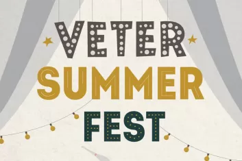 Veter Summer Fest 2018