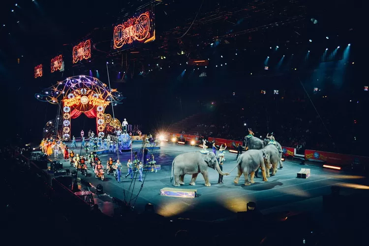 Идол 2019: билеты, программа фестиваля циркового искусства