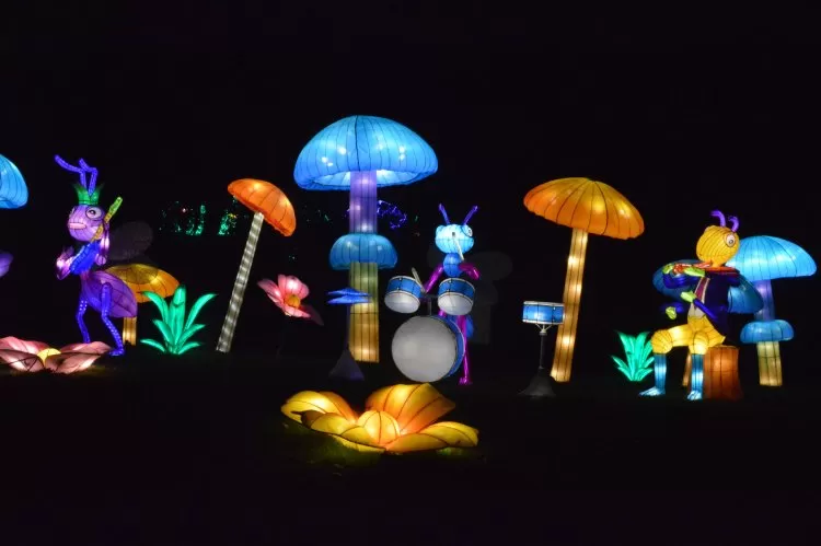 Фестиваль Волшебных китайских фонарей в парке «Сокольники»