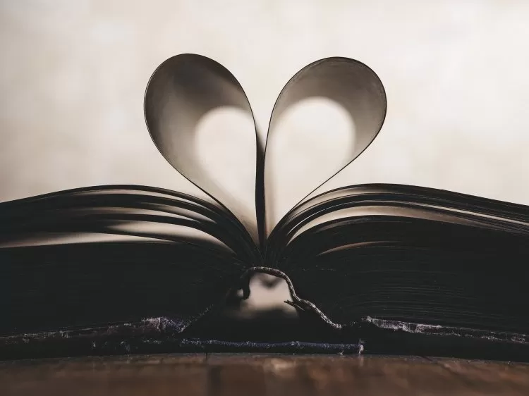 Книга, сердце, любовь
