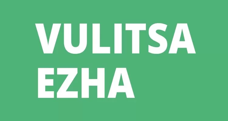 Фестиваль Vulitsa Ezha