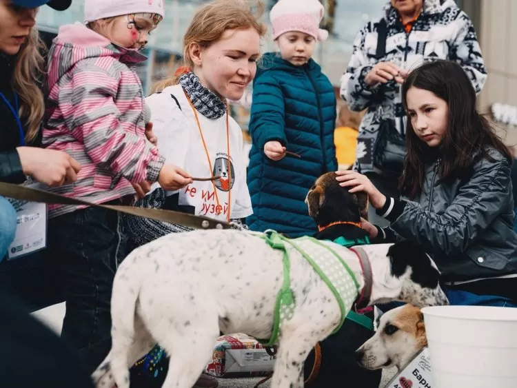 Фестиваль Собаки, друзья и человеки