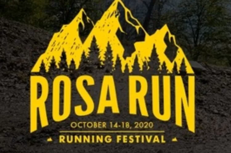 Фестиваль бега Rosa Run