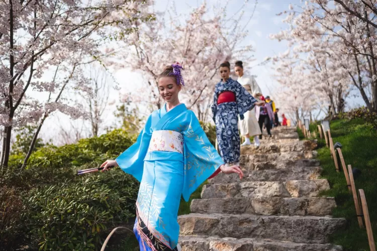Японский фестиваль Цветущая сакура