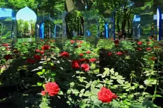 Moscow Flower Show 2018: программа фестиваля, участники